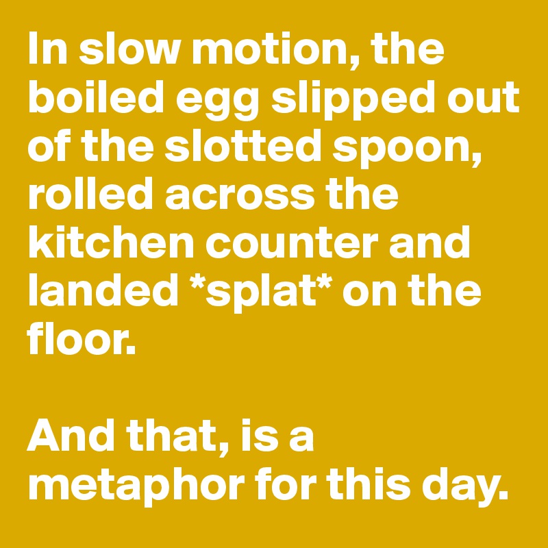 In slow motion, the boiled egg slipped out of the slotted spoon, rolled across the kitchen counter and landed *splat* on the floor. 

And that, is a metaphor for this day. 