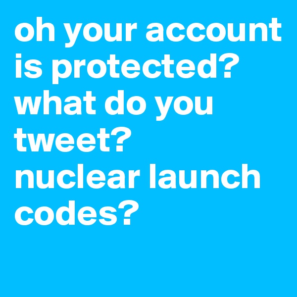 oh your account is protected? what do you tweet?
nuclear launch codes?
