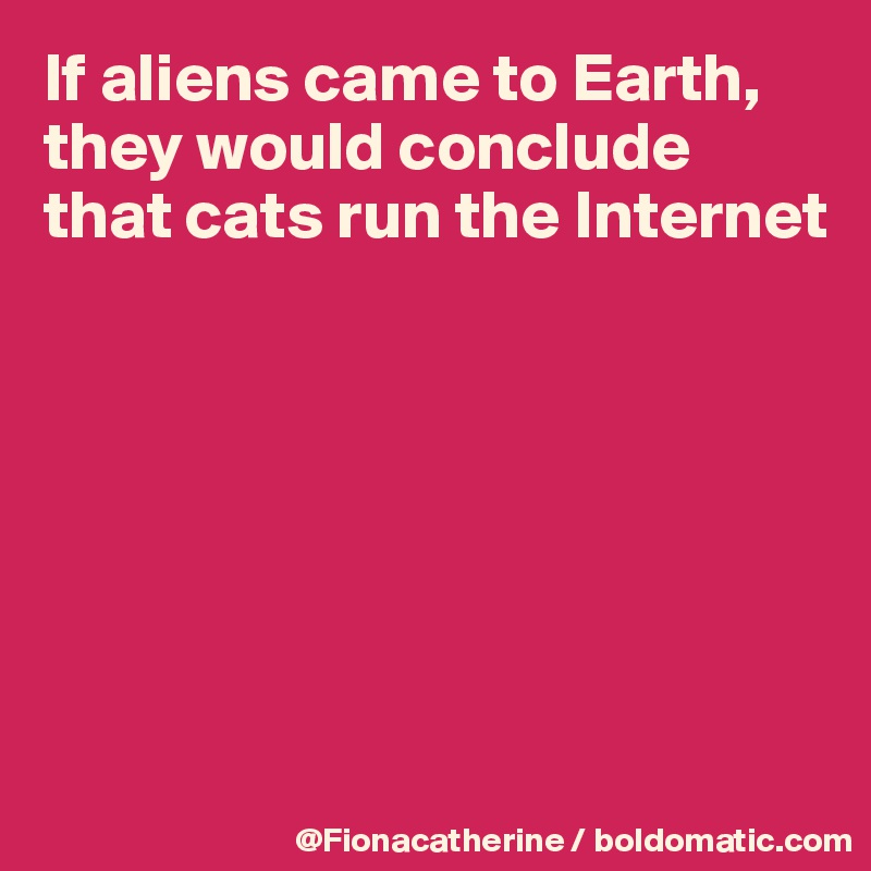 If aliens came to Earth, they would conclude that cats run the Internet







