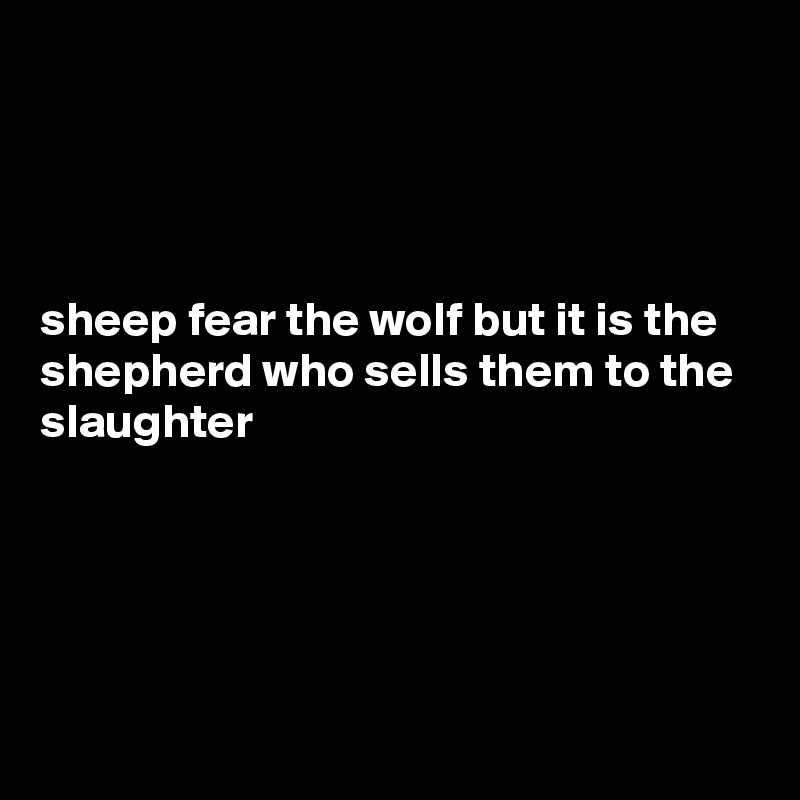 




sheep fear the wolf but it is the shepherd who sells them to the slaughter





