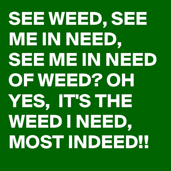 SEE WEED, SEE ME IN NEED, SEE ME IN NEED OF WEED? OH YES,  IT'S THE WEED I NEED, MOST INDEED!!