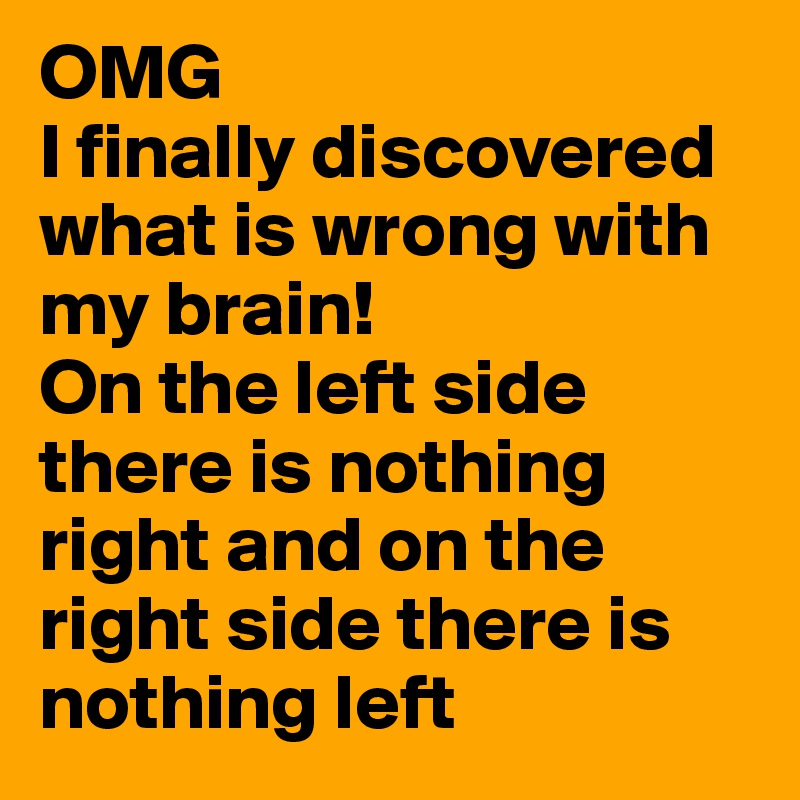 OMG
I finally discovered what is wrong with my brain!
On the left side there is nothing right and on the right side there is nothing left