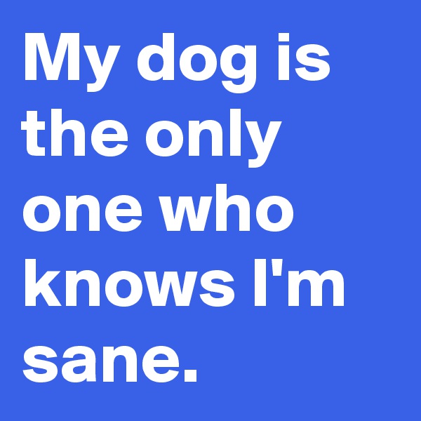 My dog is the only one who knows I'm sane.