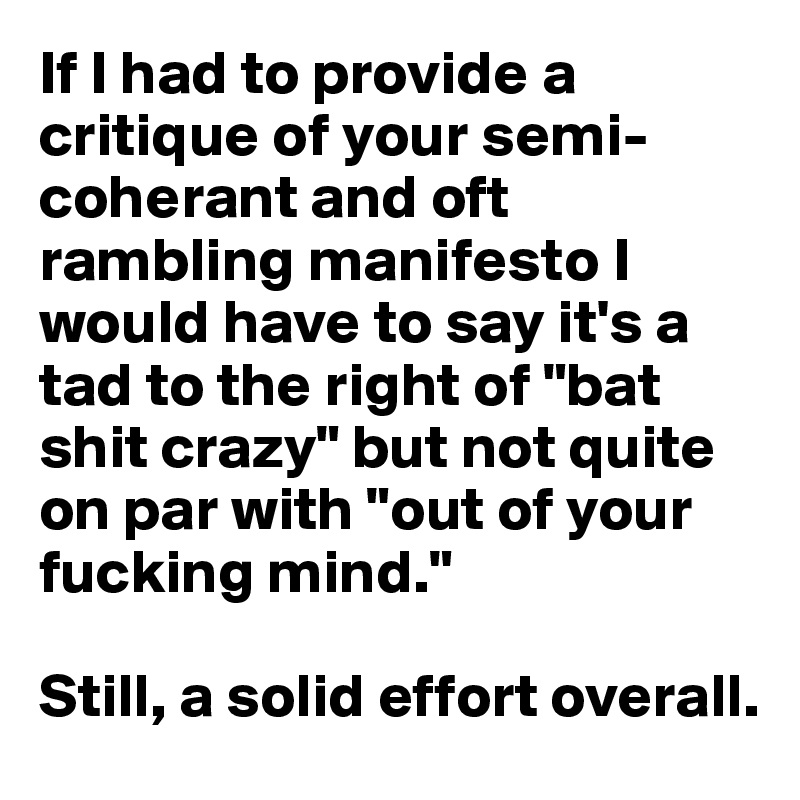 If I had to provide a critique of your semi-coherant and oft rambling manifesto I would have to say it's a tad to the right of "bat shit crazy" but not quite on par with "out of your fucking mind." 

Still, a solid effort overall.