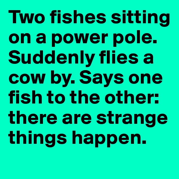 Two fishes sitting on a power pole. Suddenly flies a cow by. Says one fish to the other: there are strange things happen.
