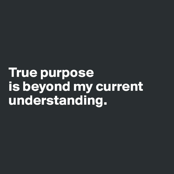 



True purpose 
is beyond my current understanding.



