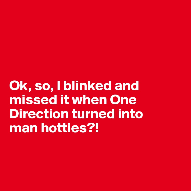 




Ok, so, I blinked and missed it when One Direction turned into 
man hotties?! 


