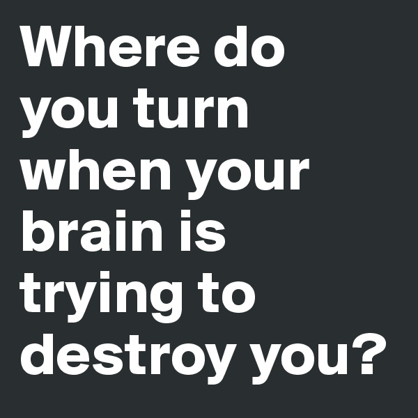 Where do you turn when your brain is trying to destroy you?
