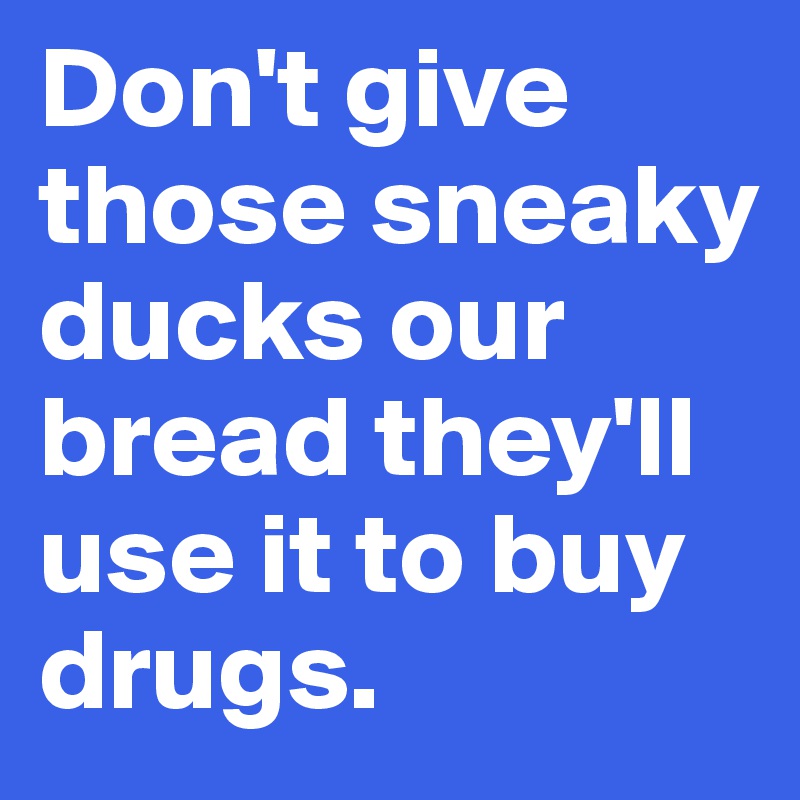Don't give those sneaky ducks our bread they'll use it to buy drugs.