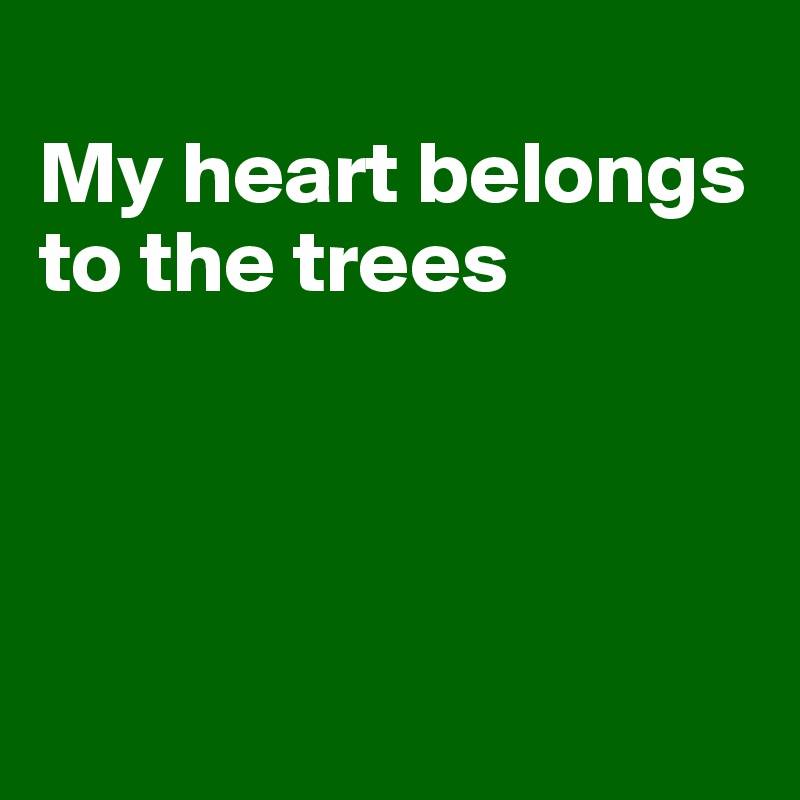 
My heart belongs to the trees




