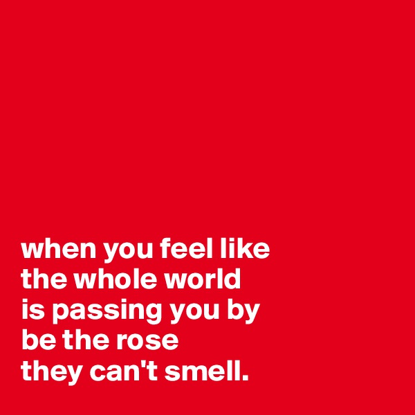 






when you feel like 
the whole world 
is passing you by 
be the rose 
they can't smell.