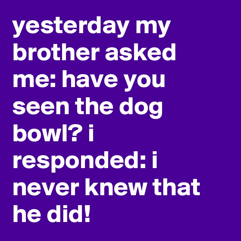 yesterday my brother asked me: have you seen the dog bowl? i responded: i never knew that he did!