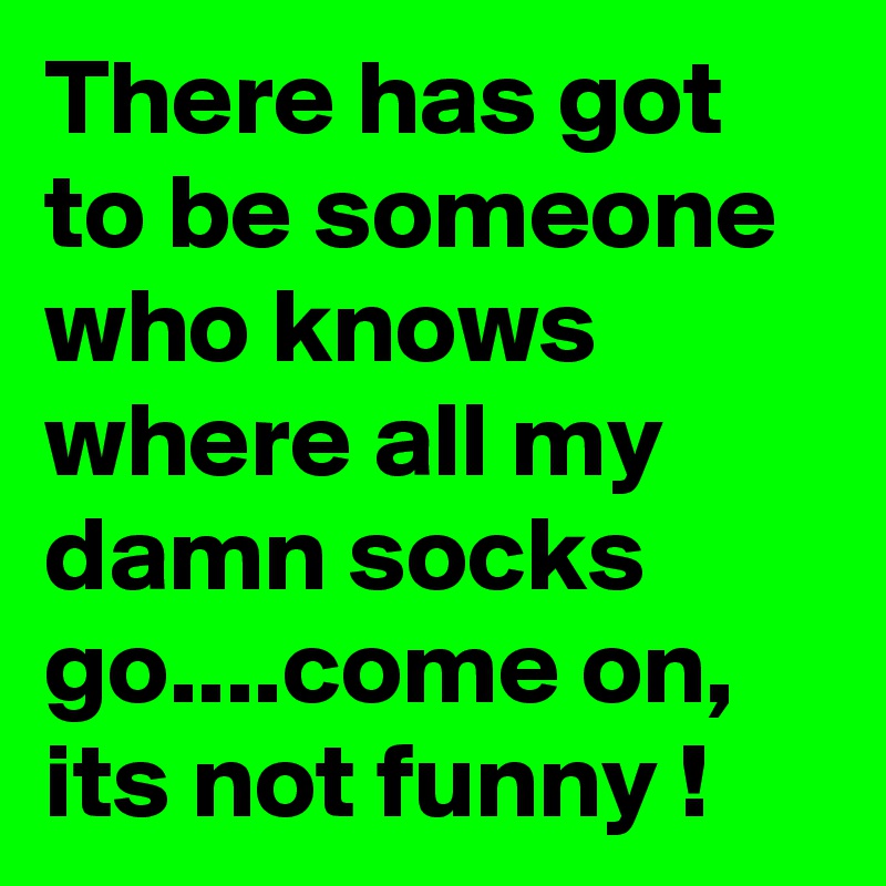 There has got to be someone who knows where all my damn socks go....come on, its not funny !