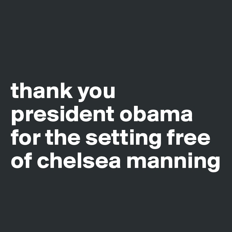 


thank you president obama for the setting free of chelsea manning
