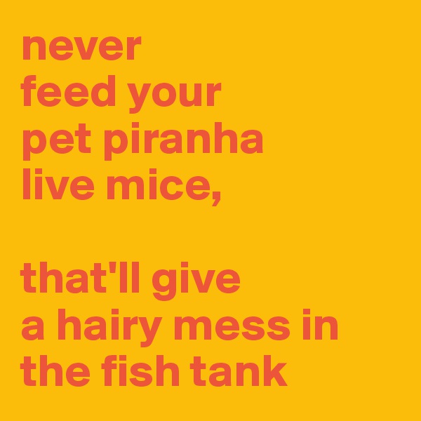 never 
feed your 
pet piranha 
live mice, 

that'll give 
a hairy mess in the fish tank