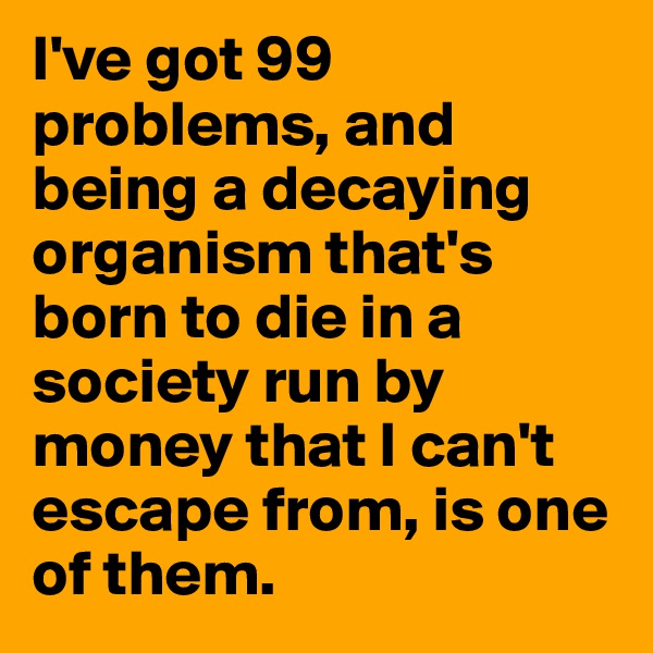 I've got 99 problems, and being a decaying organism that's born to die in a society run by money that I can't escape from, is one of them. 