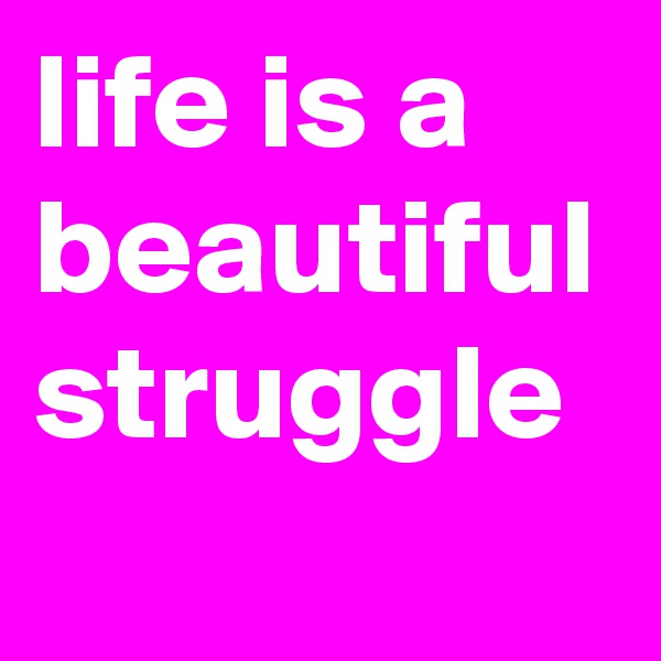 life is a beautiful struggle