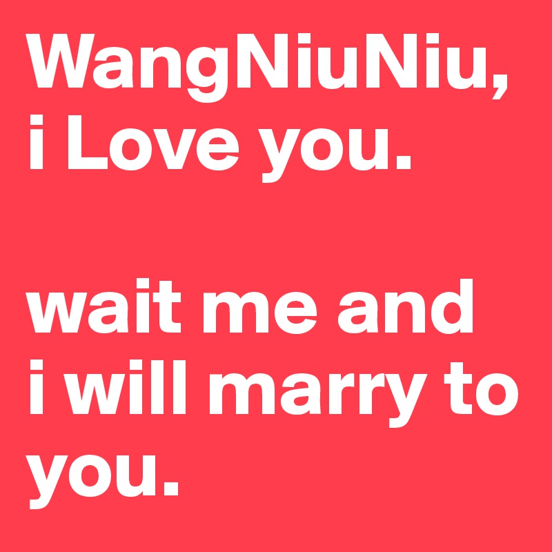WangNiuNiu,
i Love you.

wait me and
i will marry to you.