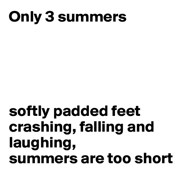 Only 3 summers 





softly padded feet
crashing, falling and laughing,
summers are too short