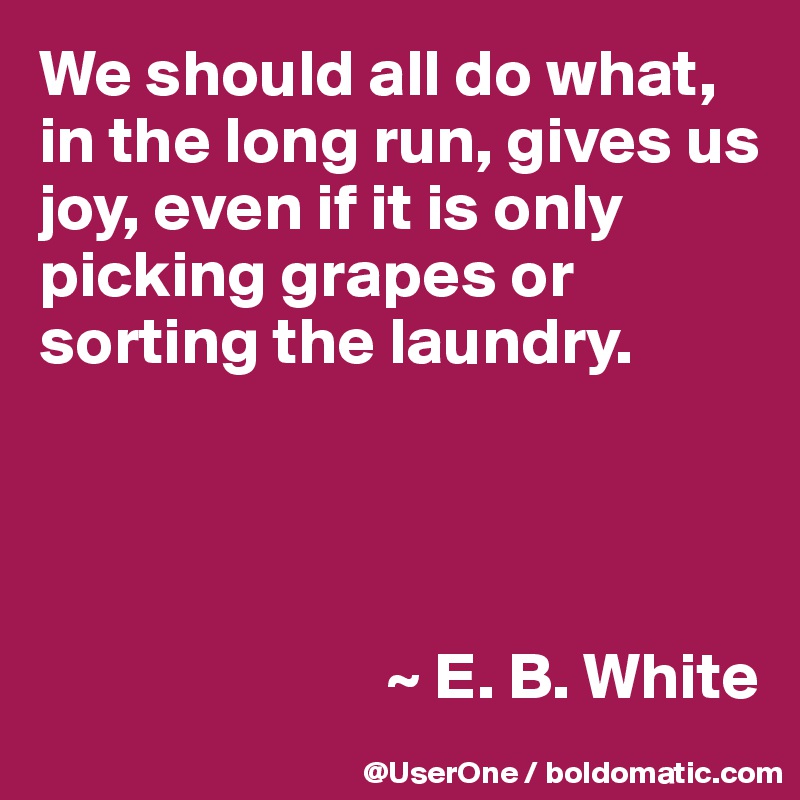 We should all do what, in the long run, gives us joy, even if it is only picking grapes or sorting the laundry.




                          ~ E. B. White