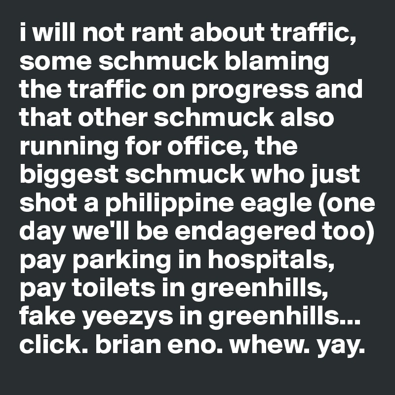 i will not rant about traffic, some schmuck blaming the traffic on progress and that other schmuck also running for office, the biggest schmuck who just shot a philippine eagle (one day we'll be endagered too) pay parking in hospitals, pay toilets in greenhills, fake yeezys in greenhills...
click. brian eno. whew. yay.