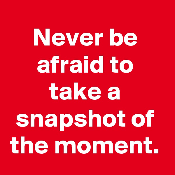 Never be afraid to take a snapshot of the moment.