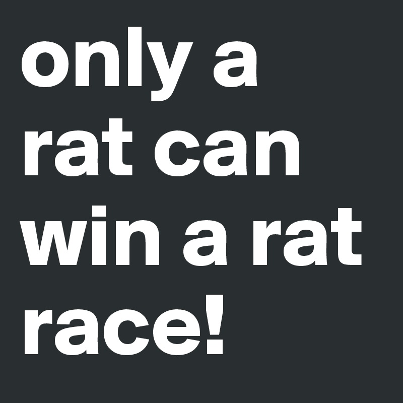 only a rat can win a rat race! 