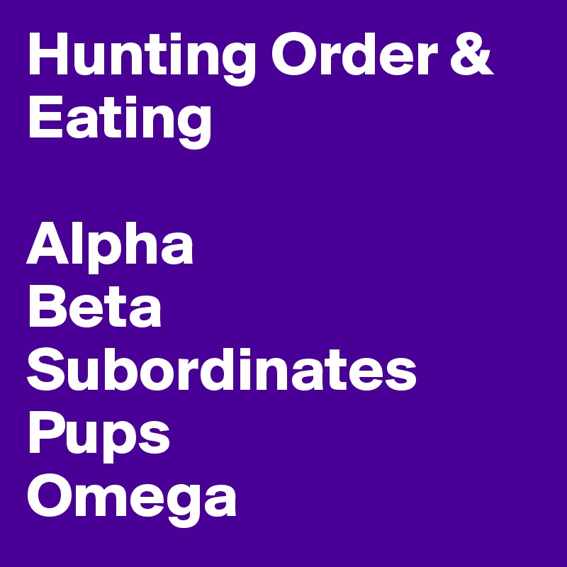 Hunting Order & Eating

Alpha
Beta
Subordinates
Pups
Omega