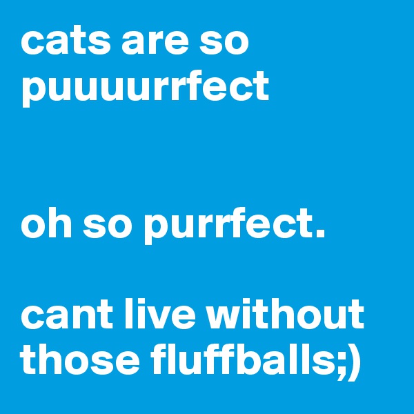 cats are so puuuurrfect


oh so purrfect.

cant live without those fluffballs;)
