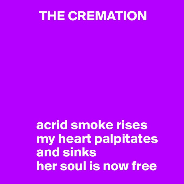            THE CREMATION







          acrid smoke rises
          my heart palpitates            
          and sinks
          her soul is now free