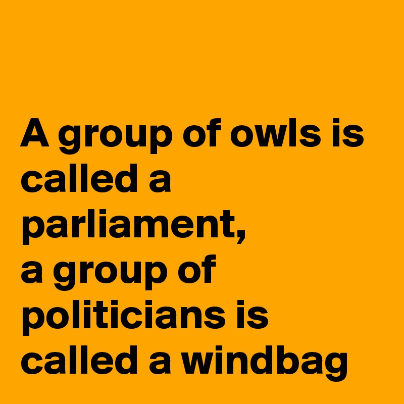 A Group Of Owls Is Called A 58