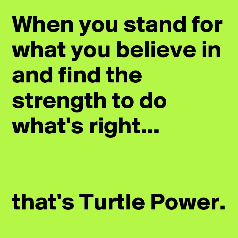 When you stand for what you believe in and find the strength to do what's right...


that's Turtle Power. 