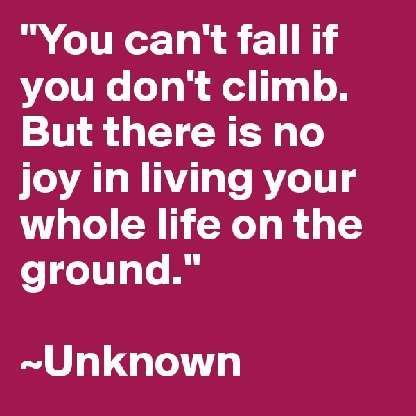"You can't fall if you don't climb. But there is no joy in living your whole life on the ground."

~Unknown