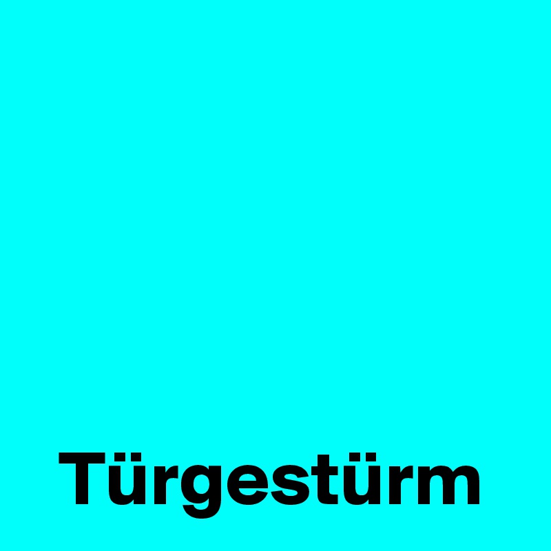 




  Türgestürm