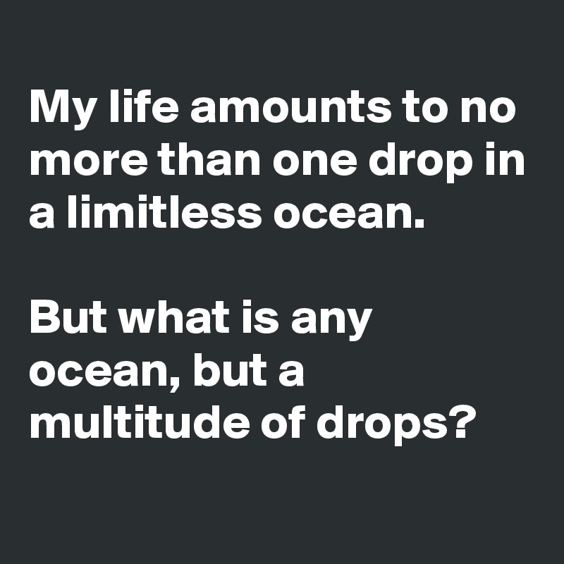 
My life amounts to no more than one drop in a limitless ocean.

But what is any ocean, but a multitude of drops?
