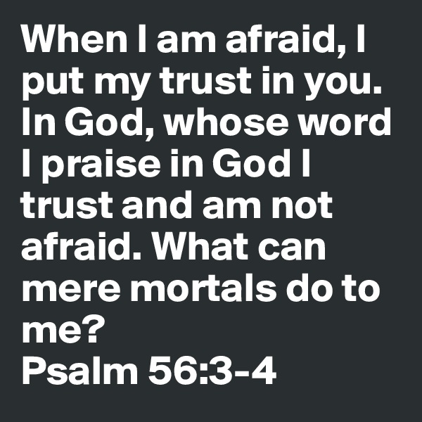 When I am afraid, I put my trust in you.
In God, whose word I praise in God I trust and am not afraid. What can mere mortals do to me?
Psalm 56:3-4