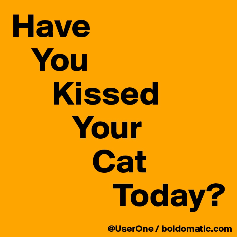 Have
   You
      Kissed
         Your
            Cat
               Today?