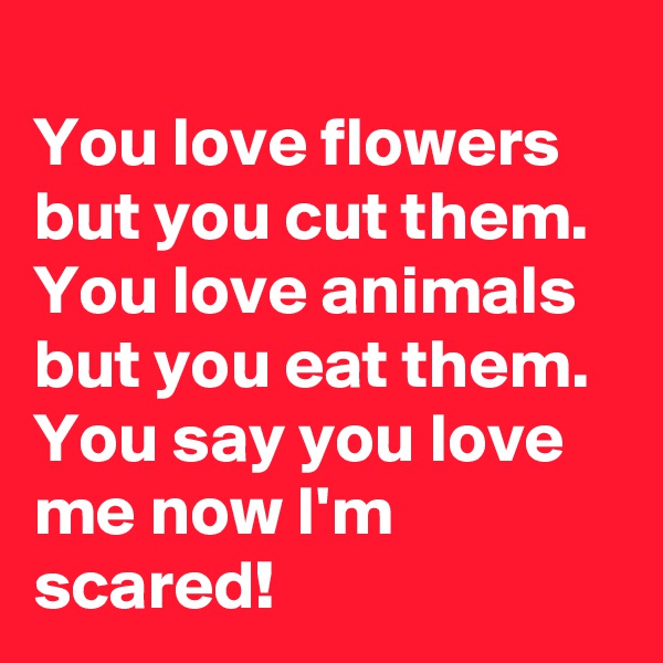 
You love flowers but you cut them. You love animals but you eat them. You say you love me now I'm scared! 