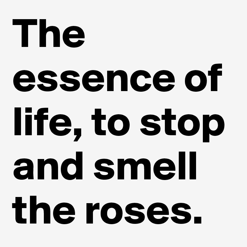 The essence of life, to stop and smell the roses.