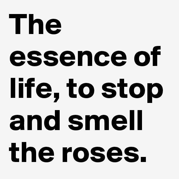 The essence of life, to stop and smell the roses.