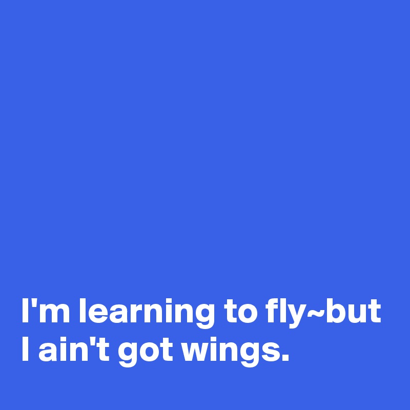 






I'm learning to fly~but I ain't got wings.