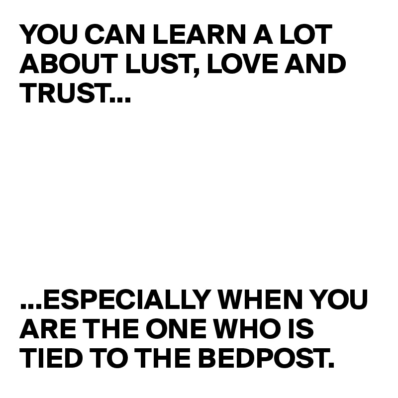 YOU CAN LEARN A LOT ABOUT LUST, LOVE AND TRUST...






...ESPECIALLY WHEN YOU ARE THE ONE WHO IS TIED TO THE BEDPOST.