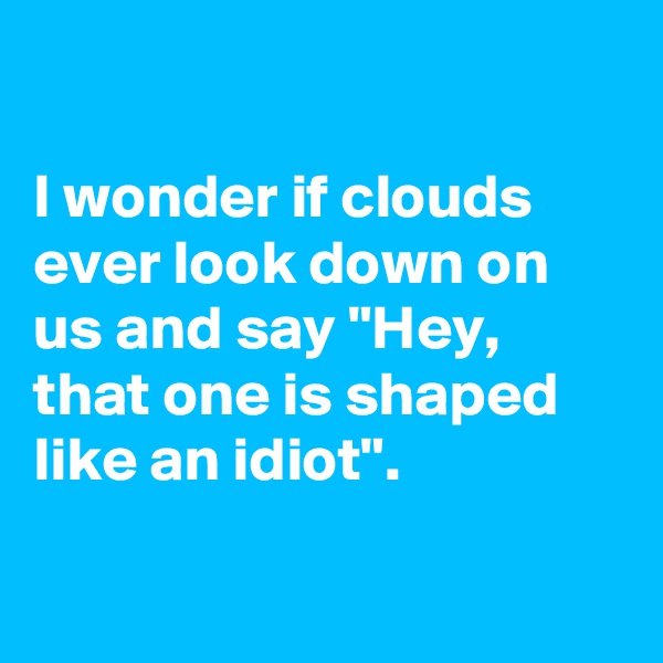 

I wonder if clouds ever look down on us and say "Hey, that one is shaped like an idiot".

