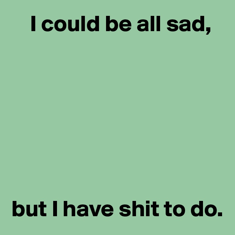     I could be all sad,







but I have shit to do.