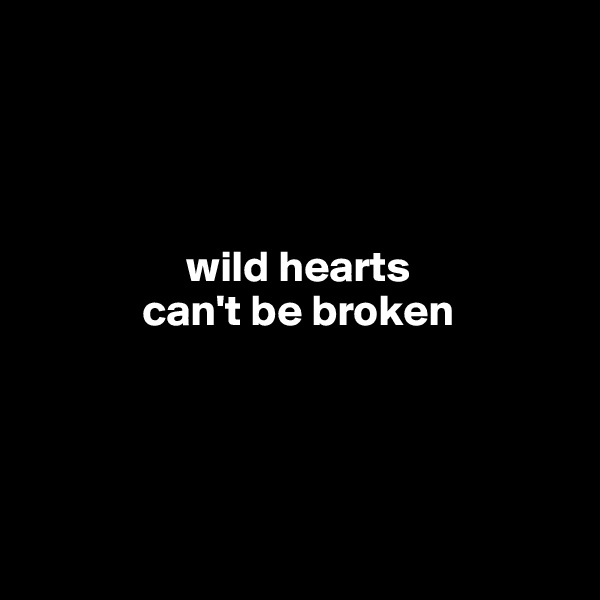 




                  wild hearts 
             can't be broken




