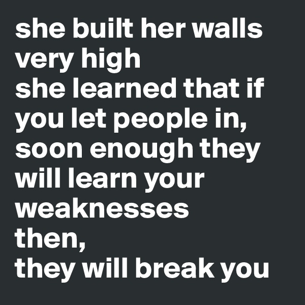 she built her walls very high
she learned that if you let people in, soon enough they will learn your weaknesses
then,
they will break you