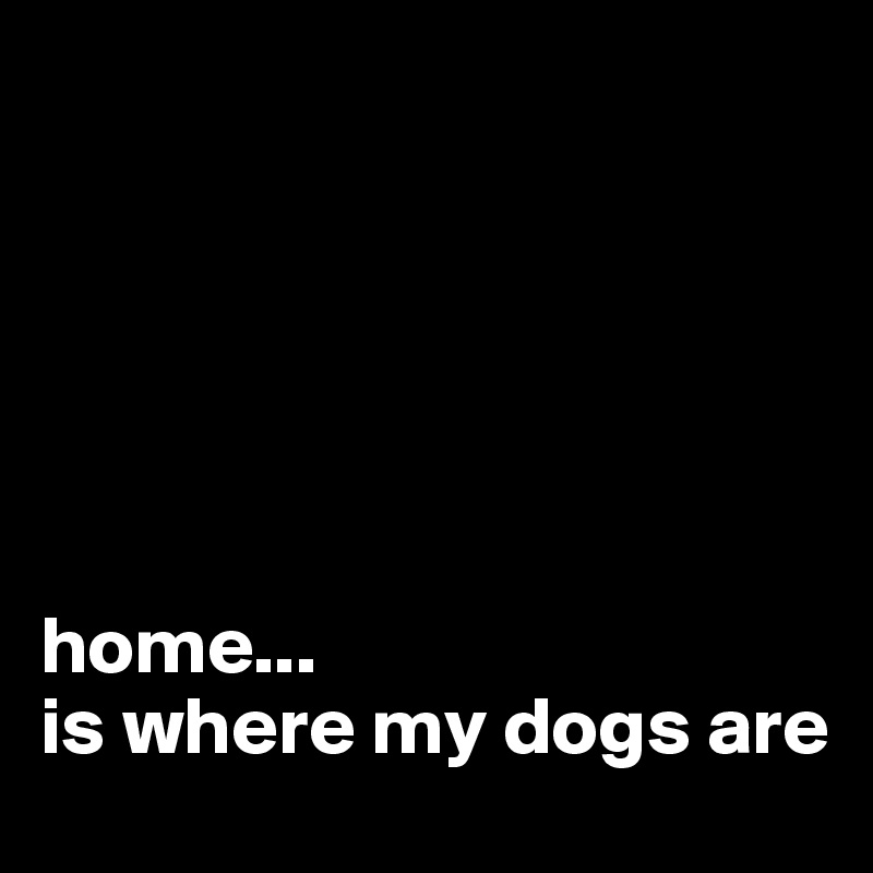 






home...
is where my dogs are