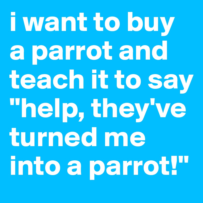 i want to buy a parrot and teach it to say "help, they've turned me into a parrot!"