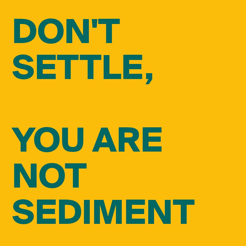 DON'T
SETTLE,

YOU ARE NOT SEDIMENT