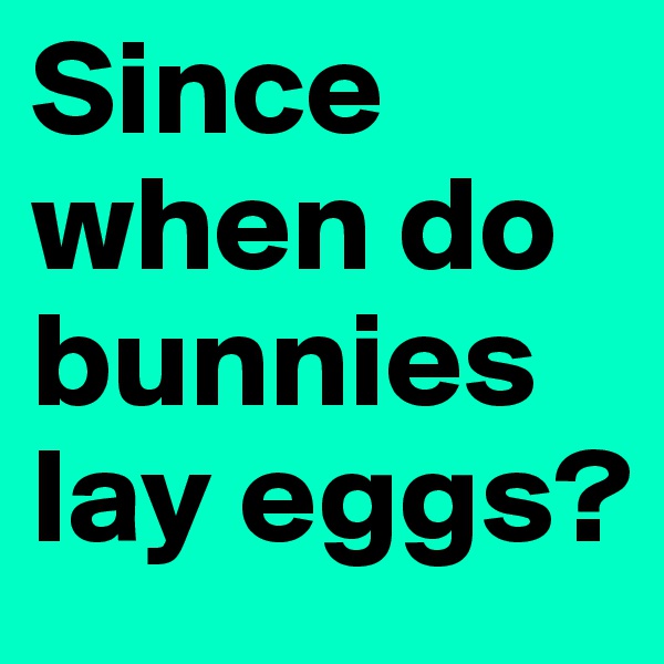 Since when do bunnies lay eggs?